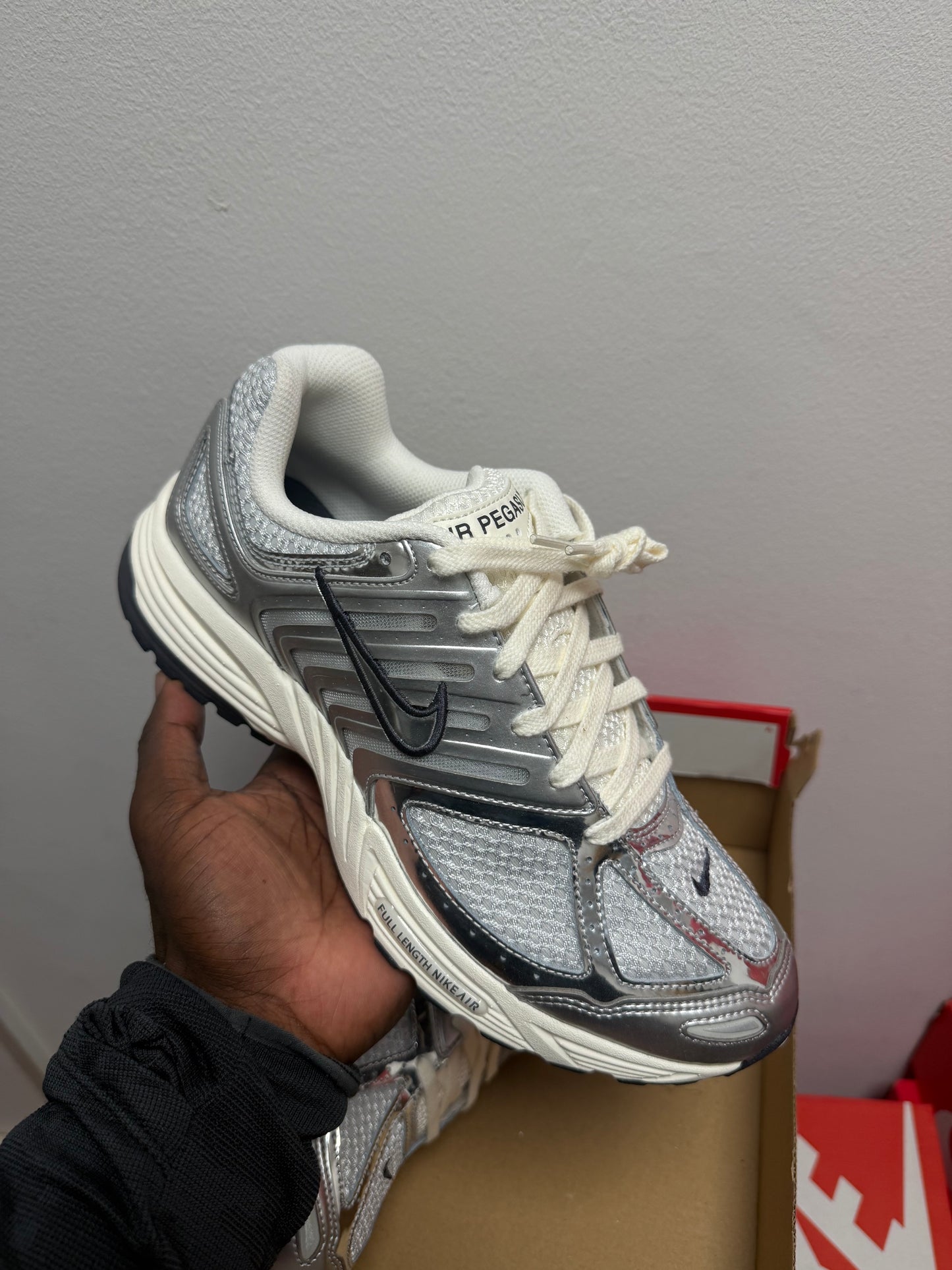 AM PEGASUS 2005